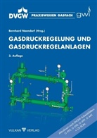 Bernhard Naendorf - Gasdruckregelung und Gasdruckregelanlagen, m. DVD-ROM