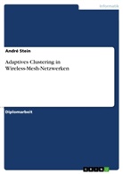 André Stein - Adaptives Clustering in Wireless-Mesh-Netzwerken