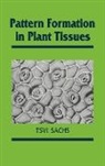 Tsvi Sachs - Pattern Formation in Plant Tis