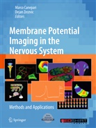 Marc Canepari, Marco Canepari, Zecevic, Zecevic, Dejan Zecevic - Membrane Potential Imaging in the Nervous System