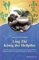 Frank-Daniel Schulten, Frank-D Schulten, Frank-Daniel Schulten - Ling Zhi, König der Heilpilze