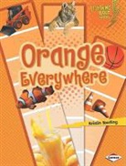 Kristin Sterling - Orange Everywhere