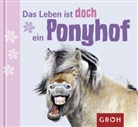 Klara S Lechner, Klara S. Lechner, Klara Sophie Lechner - Das Leben ist doch ein Ponyhof