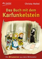 Christa Holtei, Volker Fredrich - Das Buch mit dem Karfunkelstein