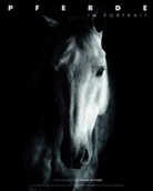 Fabio Petroni - Pferde im Porträt