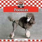 Heidi Mathea - Poodles
