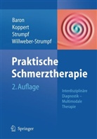 Ralf Baron, Wolfgang Koppert, Michael Strumpf, Anne Willweber - Praktische Schmerztherapie