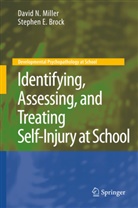 Stephen E Brock, Stephen E. Brock, David Miller, David N Miller, David N. Miller - Identifying, Assessing, and Treating Self-Injury at School