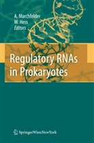 Hess, Hess, Wolfgang Hess, Anit Marchfelder, Anita Marchfelder - Regulatory RNAs in Prokaryotes