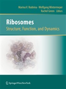 Rachel Green, Marina Rodnina, Marina V. Rodnina, Wolfgan Wintermeyer, Wolfgang Wintermeyer - Ribosomes  Structure, Function, and Dynamics