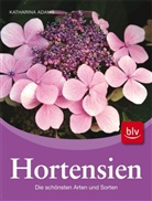 Katharina Adams - Hortensien