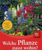 Ursel Borstell, Thomas Hagen - Welche Pflanze passt wohin?