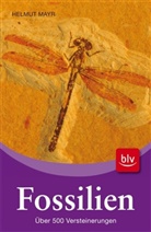 Helmut Mayr - Fossilien