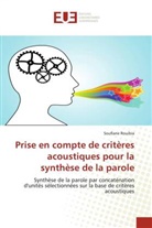 Soufiane Rouibia, Rouibia-s - Prise en compte de criteres