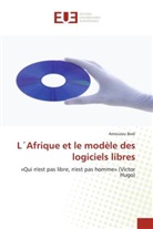 Amouzou BEDI, Bedi-A - L afrique et le modele des