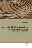 Majid Nabavi - Acoustic-Fluid Interactions in Resonant Cavities