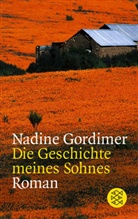 Nadine Gordimer - Die Geschichte meines Sohnes