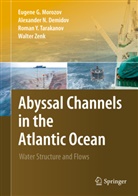 Alexander Demidov, Alexander N Demidov, Alexander N. Demidov, Eugene Morozov, Eugene G Morozov, Eugene G. Morozov... - Abyssal Channels in the Atlantic Ocean