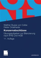 Walthe Busse von Colbe, Walther Busse Von Colbe, Dieter Ordelheide - Konzernabschlüsse, Übungsaufgaben