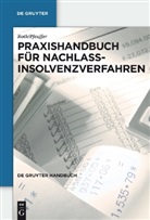 Jürgen Pfeuffer, Jan Roth - Praxishandbuch für Nachlassinsolvenzverfahren