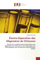 Mohammed Aider, Aider-m - Electro separation des oligomeres