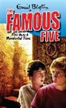 Enid Blyton - Five Have a Wonderful Time