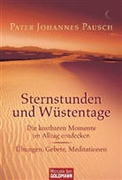 Johannes Pausch, Pater Johannes Pausch - Sternstunden und Wüstentage