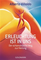 Alberto Villoldo - Erleuchtung ist in uns