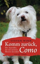 Steven Winn - Komm zurück, Como