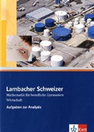 Antonius Kamphaus - Lambacher-Schweizer, Mathematik für berufliche Gymnasien: Lambacher Schweizer Mathematik für berufliche Gymnasien Klasse 12/13, Wirtschaft, Aufgaben zur Analysis