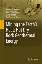 Donald W. Brown, David Duchane, David V. Duchane, Grant Heiken, Vivi Thomas Hriscu, Don Brown... - Hot Dry Rock Geothermal Energy