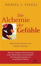 Daniel J. Siegel - Die Alchemie der Gefühle