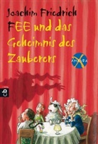 Amanda X, Joachim Friedrich, Edda Skibbe - Fee und das Geheimnis des Zauberers
