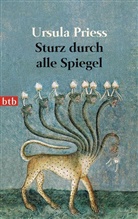 Ursula Priess - Sturz durch alle Spiegel