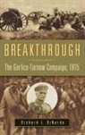 Richard Dinardo, Richard L. DiNardo, DiNardo Richard L. - Breakthrough
