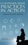 Thomas Plante, Thomas G. Plante Ph.D., Thomas Plante, Thomas G. Plante - Contemplative Practices in Action