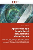 Nicolas Stefaniak, Stefaniak-N - Apprentissage implicite et