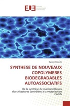Sylvain Caillol, Caillol-s - Synthese de nouveaux copolymeres