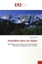 Aurélie Genries, Genries-A - Incendies dans les alpes