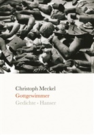 Christoph Meckel - Gottgewimmer