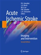 Joshu A Hirsch, Joshua A Hirsch, R. Gilberto González, Michael H Lev et al, Joshua A. Hirsch, Michael H. Lev... - Acute Ischemic Stroke