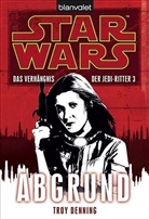 Troy Denning - Star Wars, Das Verhängnis der Jedi-Ritter - Abgrund
