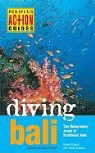 David Pickell, Wally Siagian - Diving Bali