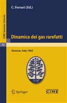 C Ferrari, C. Ferrari - Dinamica dei gas rarefatti