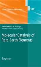 Peter Roesky, Peter W. Roesky, Pete W Roesky, Peter W Roesky - Molecular Catalysis of Rare-Earth Elements