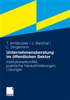 Thoma Armbrüster, Thomas Armbrüster, Johanne Banzhaf, Johannes Banzhaf, La Dingemann, Lars Dingemann - Unternehmensberatung im öffentlichen Sektor