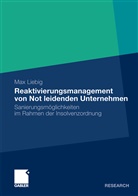 Max Liebig - Reaktivierungsmanagement von Not leidenden Unternehmen