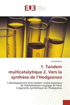 Lise Brethous, Brethous-L - 1. tandem multicatalytique 2.
