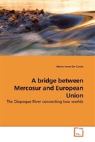 Maria Irene De Conte - A bridge between Mercosur and European Union
