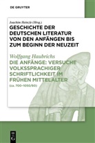 Heinrich Haubrichs, Wolfgang Haubrichs, Joachim Heinzle - Geschichte der deutschen Literatur von den Anfängen bis zum Beginn der Neuzeit, 3 Bde. in 6 Tl.-Bdn. - Band I. Teil 1: Die Anfänge: Versuche volkssprachiger Schriftlichkeit im frühen Mittelalter